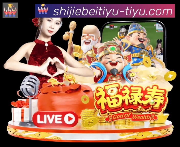 奖项证书